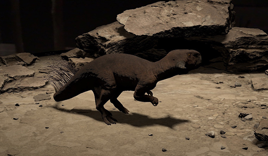 Psittacosaurus comes to life