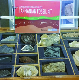 Fossil Kit
