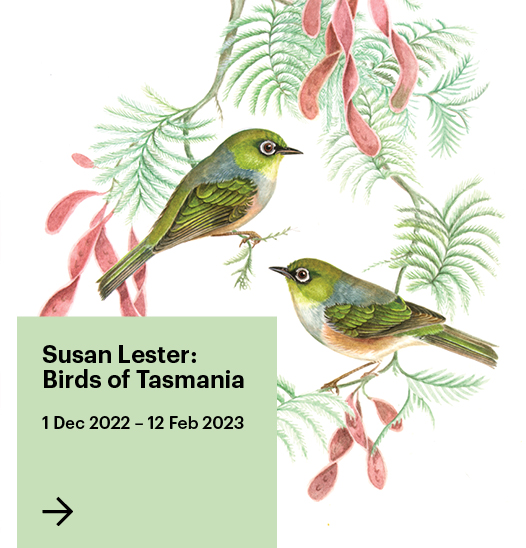 Susan Lester Birds of Tasmania