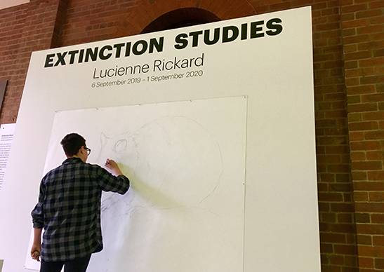 Lucienne Rickard: Extinction Studies